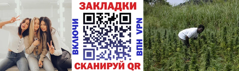 Какие есть наркотики Пересвет Гашиш  Марихуана  Alpha-PVP  Меф 