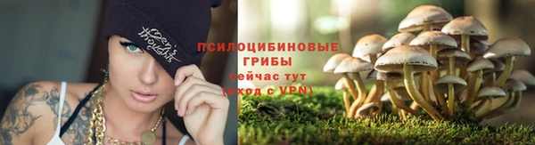 каннабис Баксан