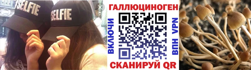 Псилоцибиновые грибы Psilocybine cubensis  Пересвет 